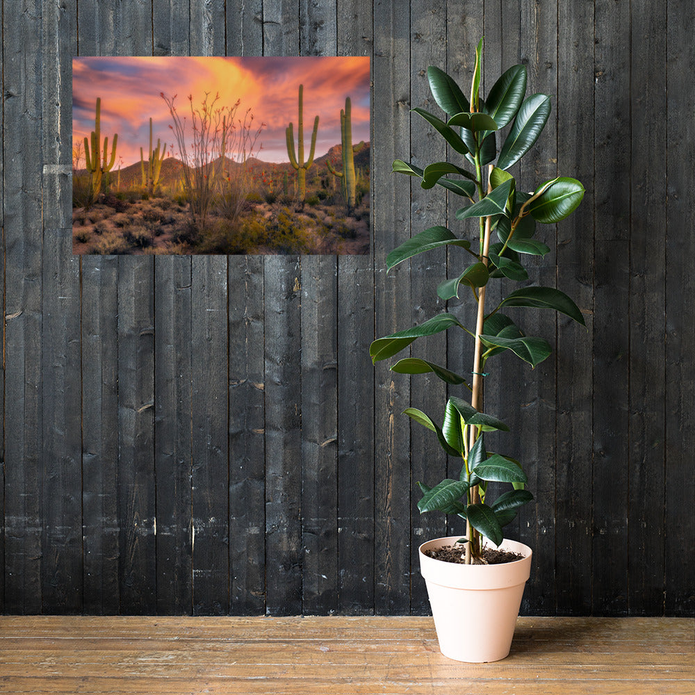 Tucson Mountain Park Sunset by Sean Parker Photography | Poster