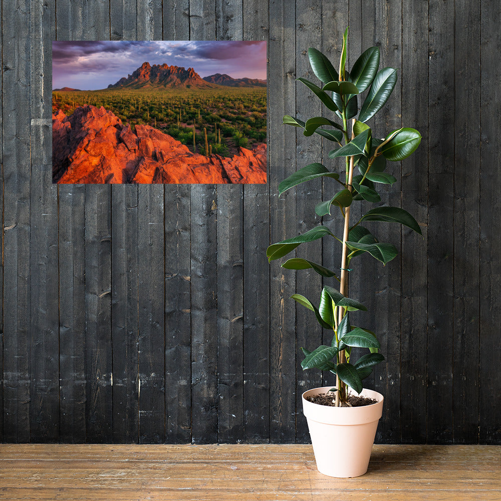 Ironwood National Monument by Sean Parker Photography | Poster