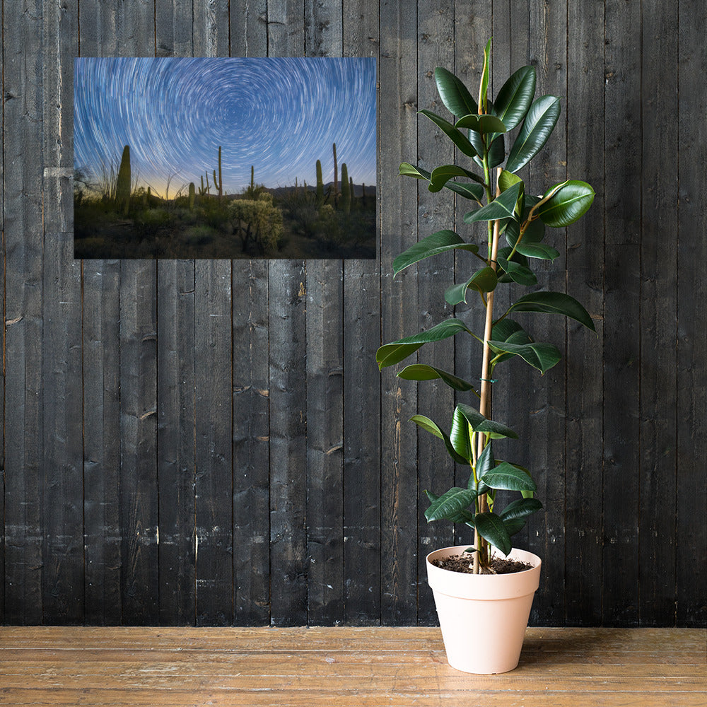 Sonoran Startails by Sean Parker Photography | Poster