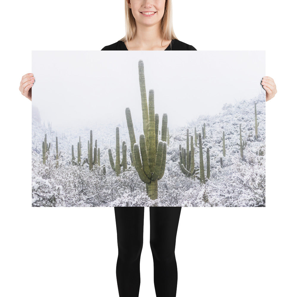 Saguaro Snowfall by Sean Parker Photography | Poster