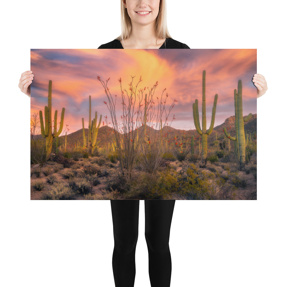 Tucson Mountain Park Sunset by Sean Parker Photography | Poster