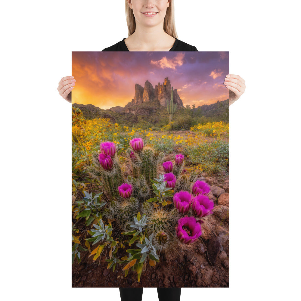 Sonoran Bloom by Sean Parker Photography | Poster