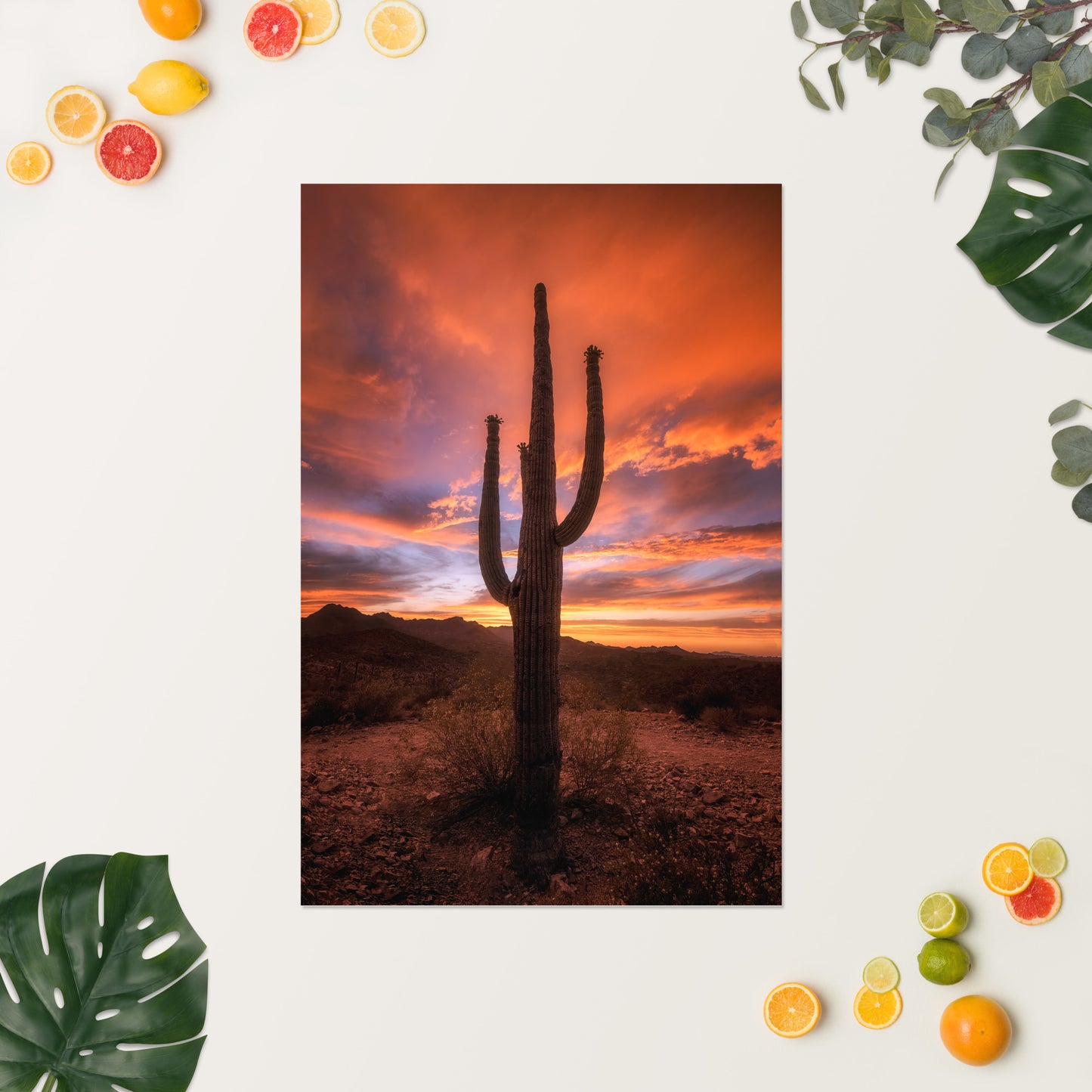 Saguaro Sunset by Sean Parker Photography | Poster