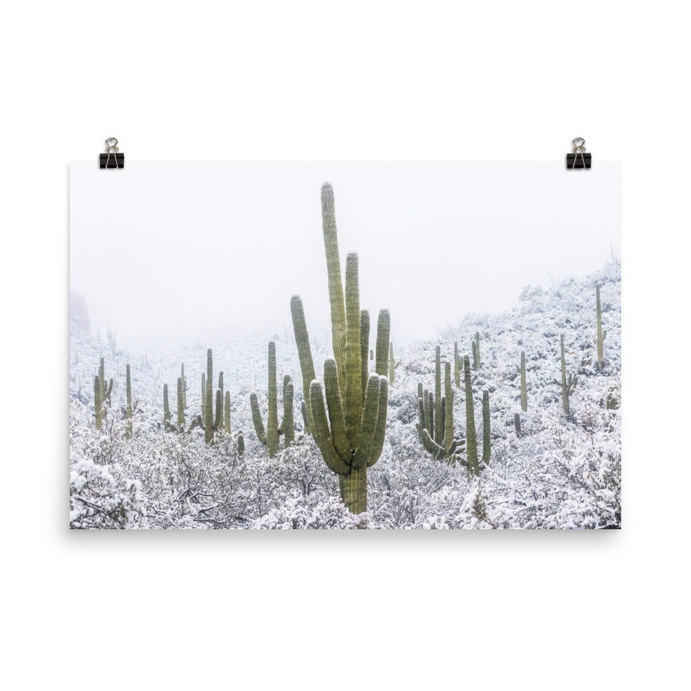 Saguaro Snowfall by Sean Parker Photography | Poster