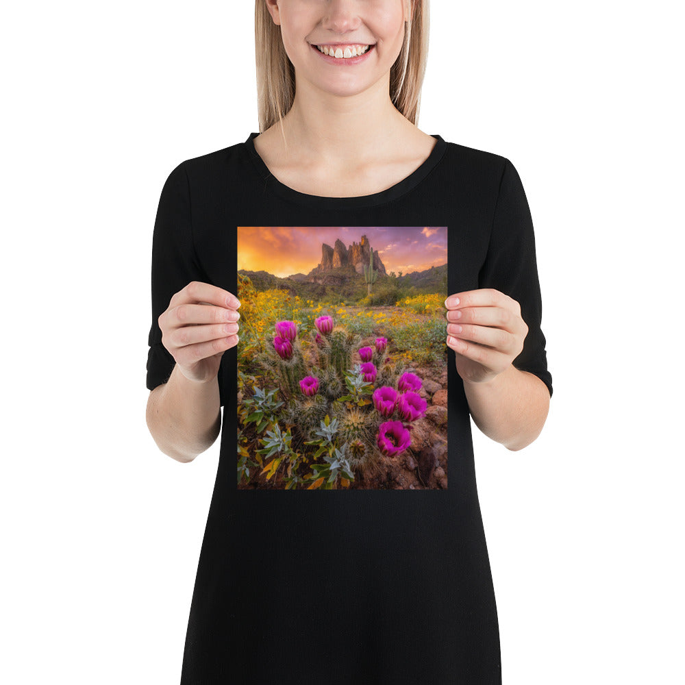 Sonoran Bloom by Sean Parker Photography | Poster