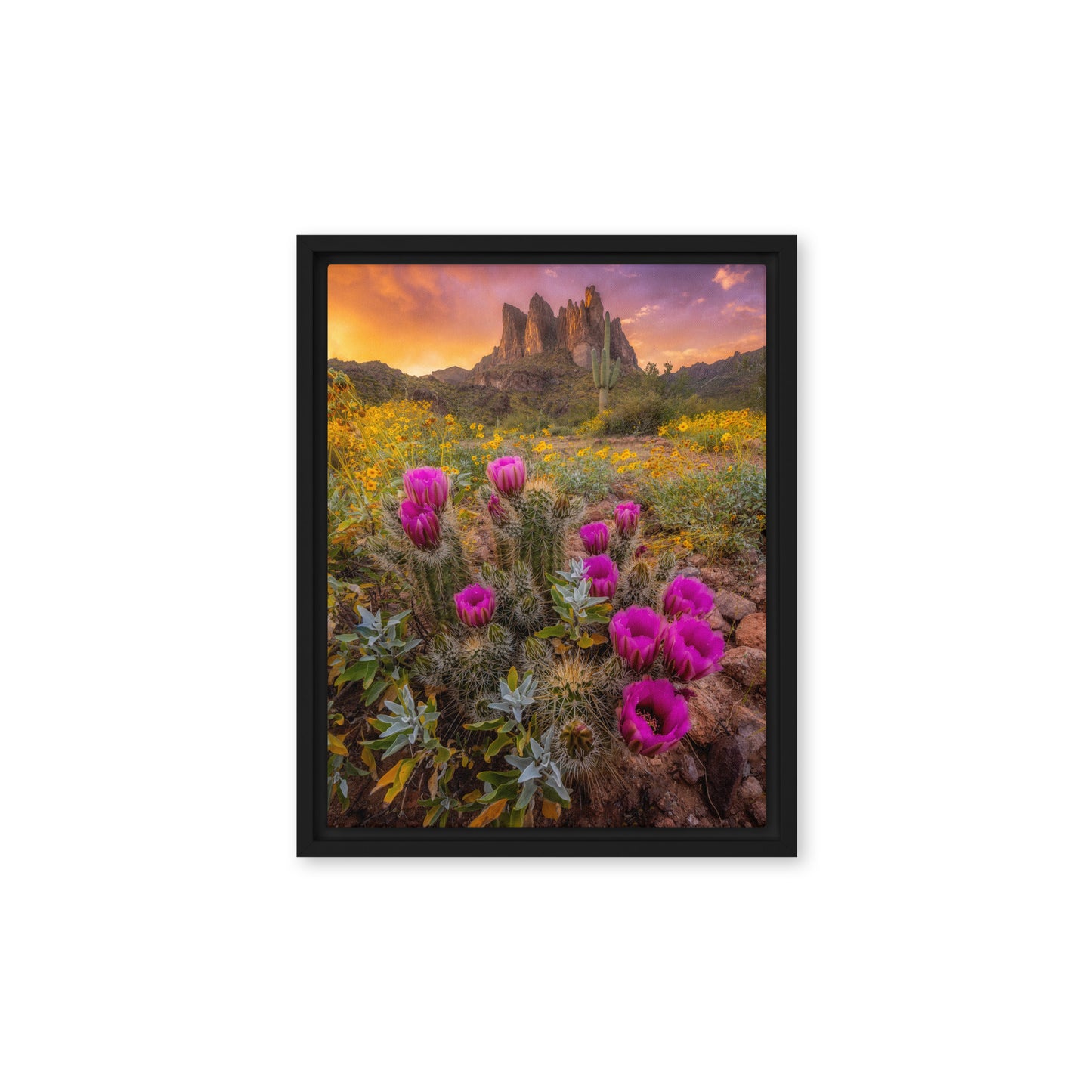 Sonoran Bloom by Sean Parker Photography | Framed canvas