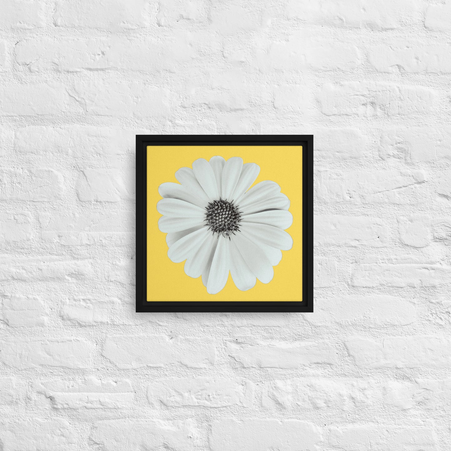 Loves Me Loves Me Not by Enrique Aldana - Yellow | Framed canvas