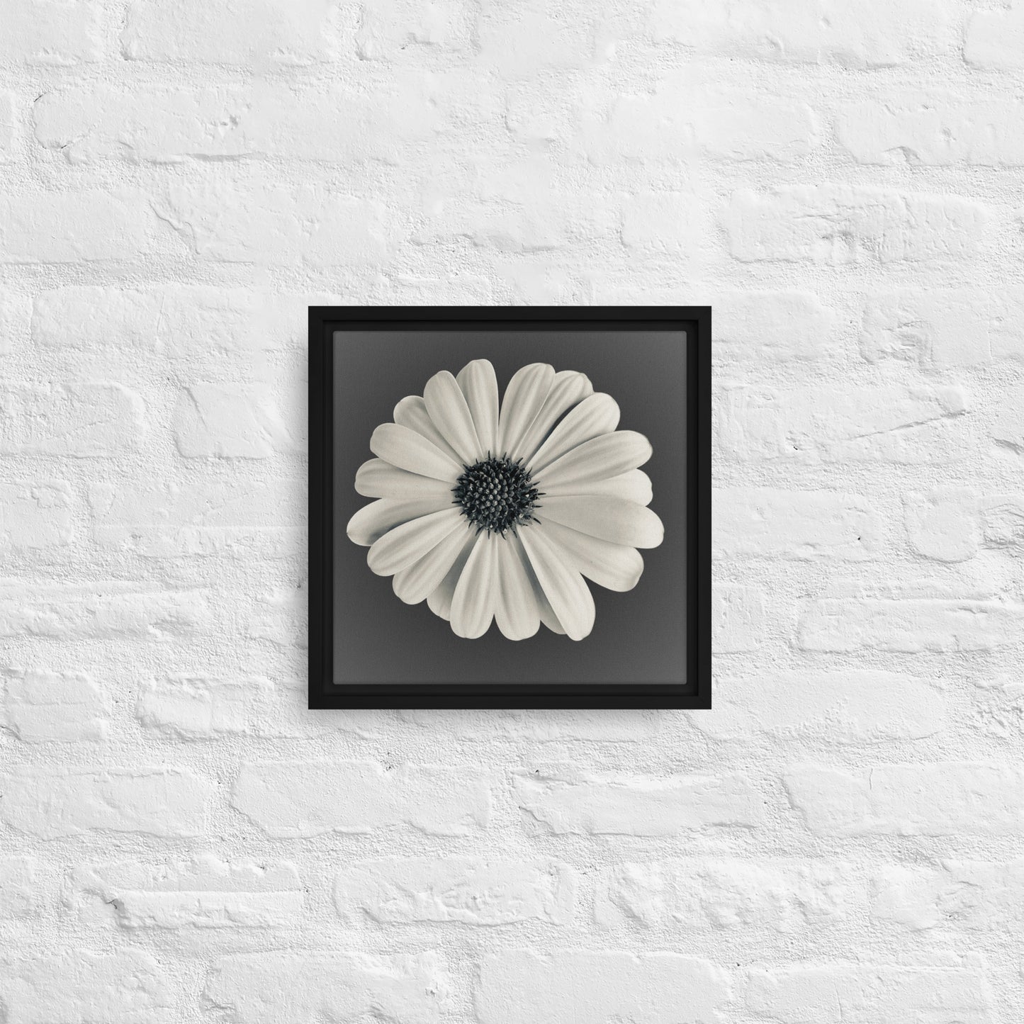 Loves Me Loves Me Not by Enrique Aldana | Framed canvas