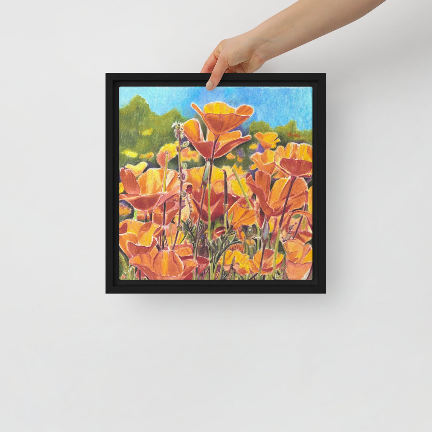 Roadside Poppies by Amber Pierson | Framed canvas