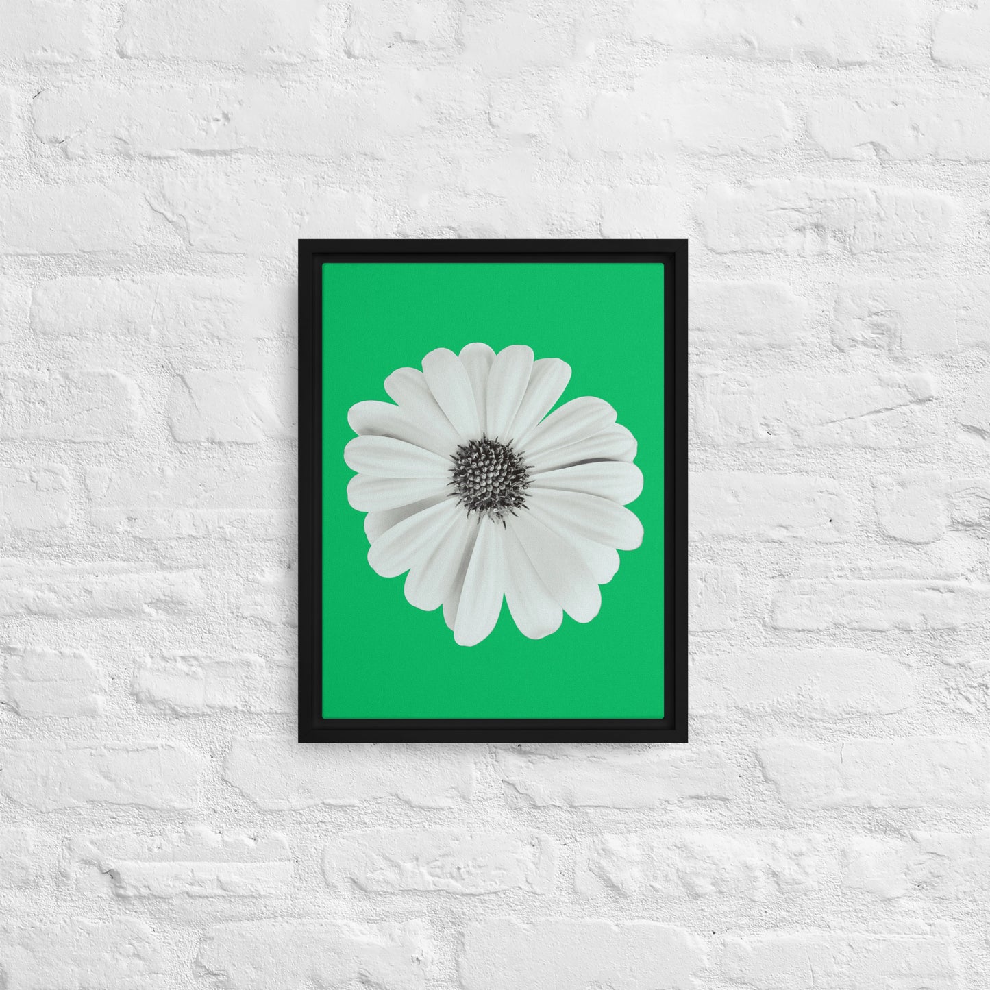 Loves Me Loves Me Not by Enrique Aldana | Framed canvas