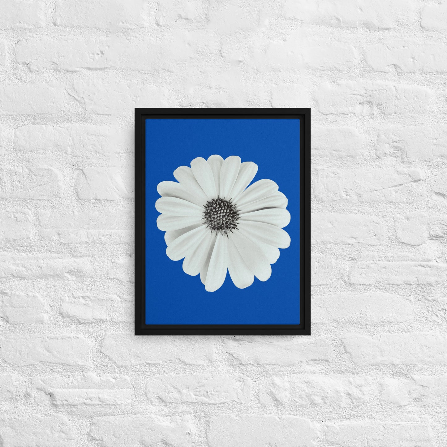 Loves Me Loves Me Not by Enrique Aldana | Framed canvas