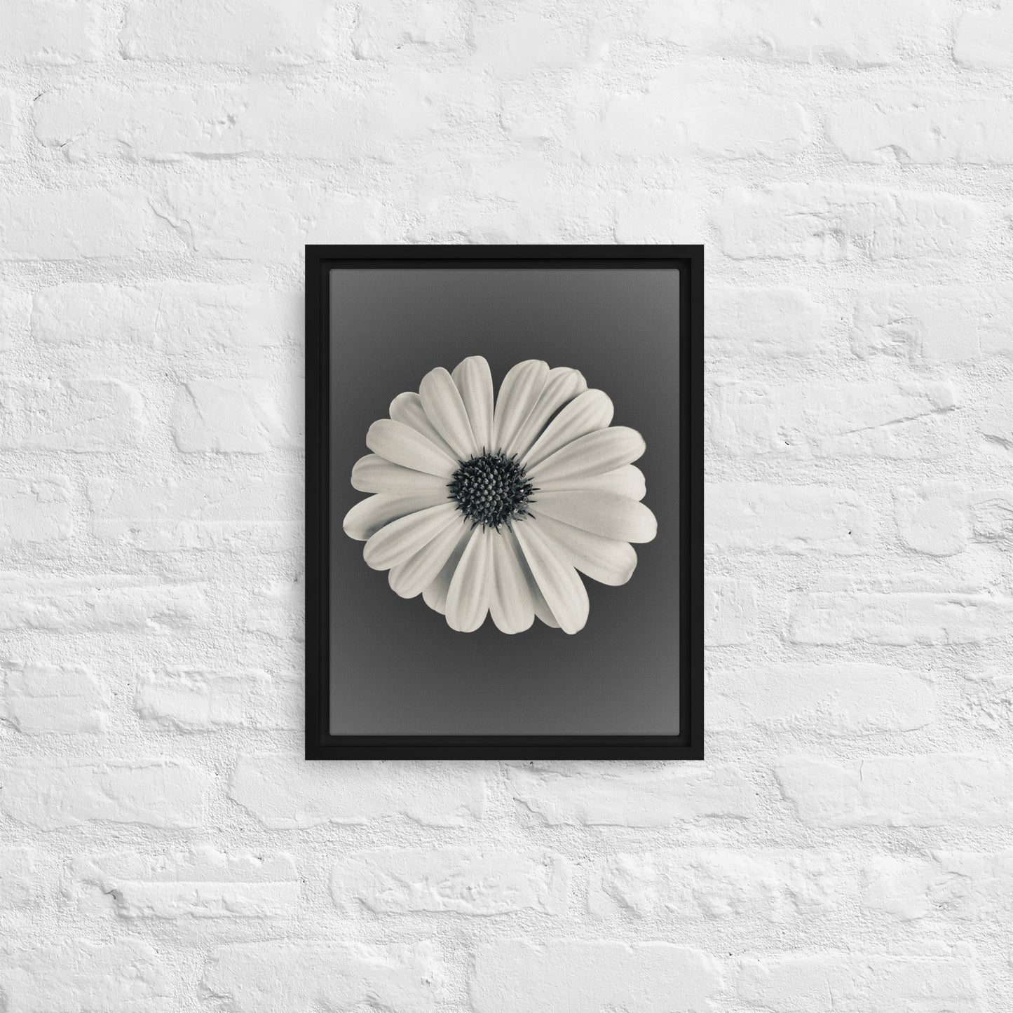 Loves Me Loves Me Not by Enrique Aldana | Framed canvas