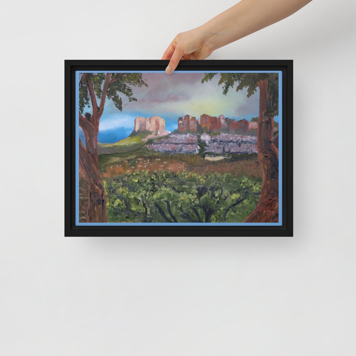 Sedona by Steven Bye | Framed canvas