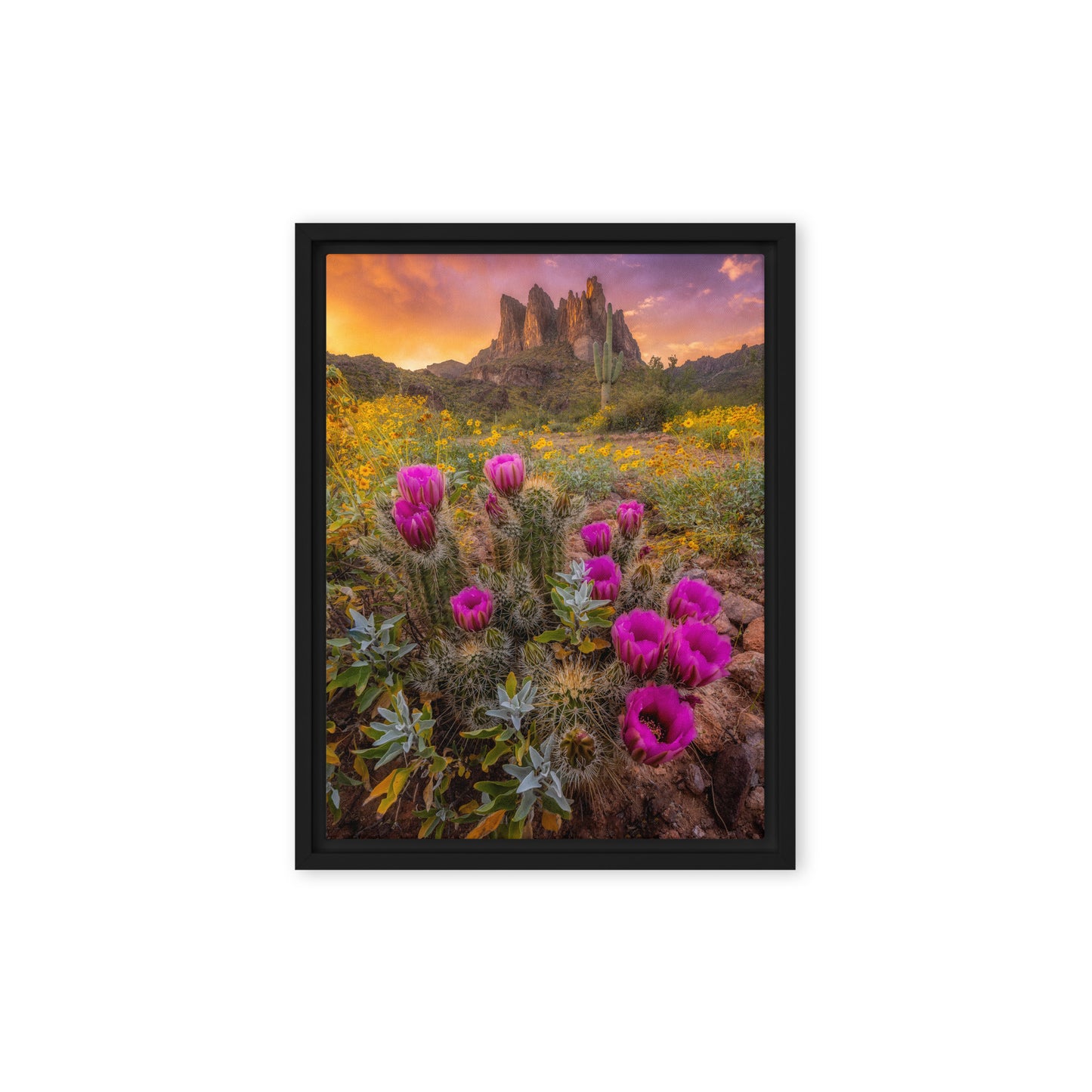 Sonoran Bloom by Sean Parker Photography | Framed canvas