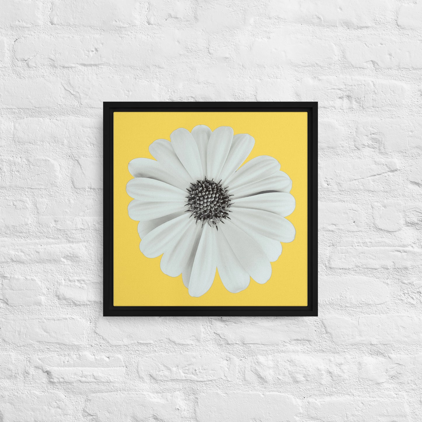 Loves Me Loves Me Not by Enrique Aldana - Yellow | Framed canvas