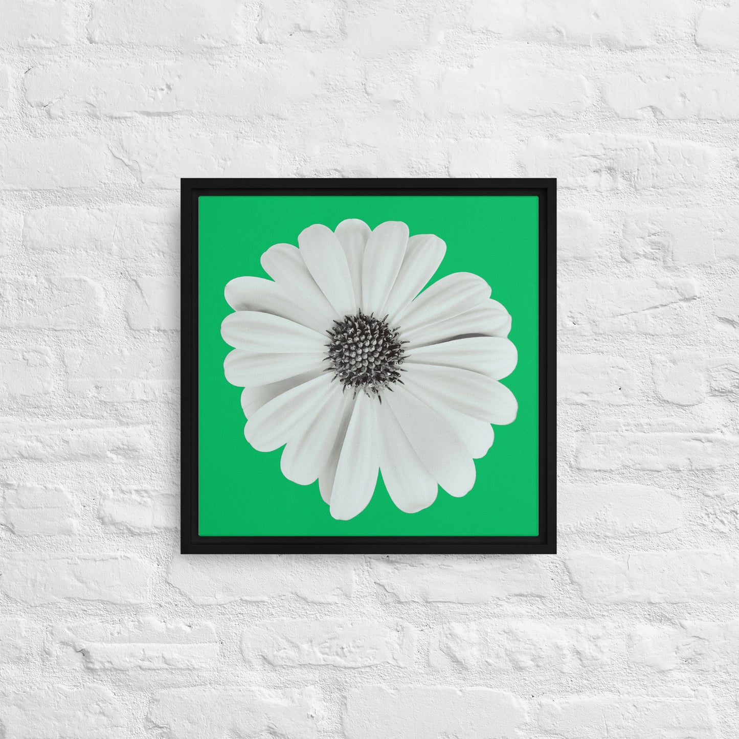 Loves Me Loves Me Not by Enrique Aldana | Framed canvas