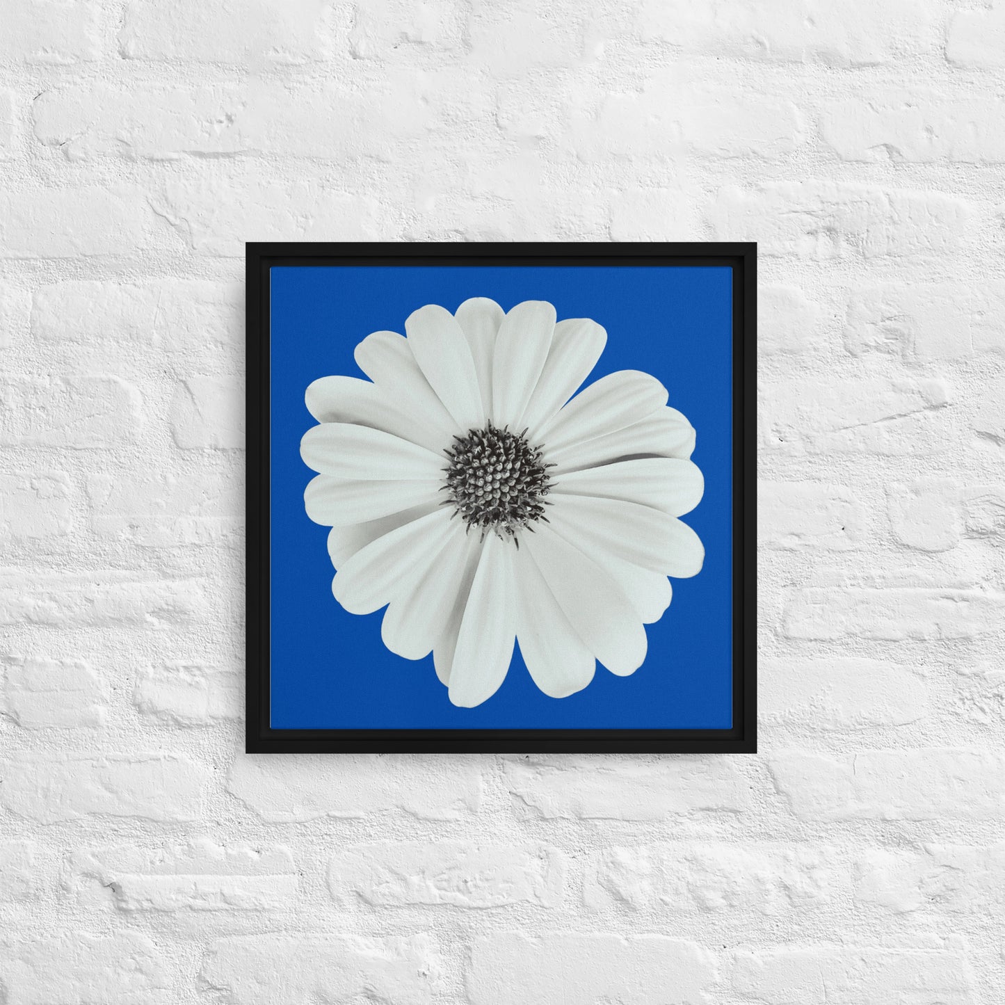 Loves Me Loves Me Not by Enrique Aldana | Framed canvas