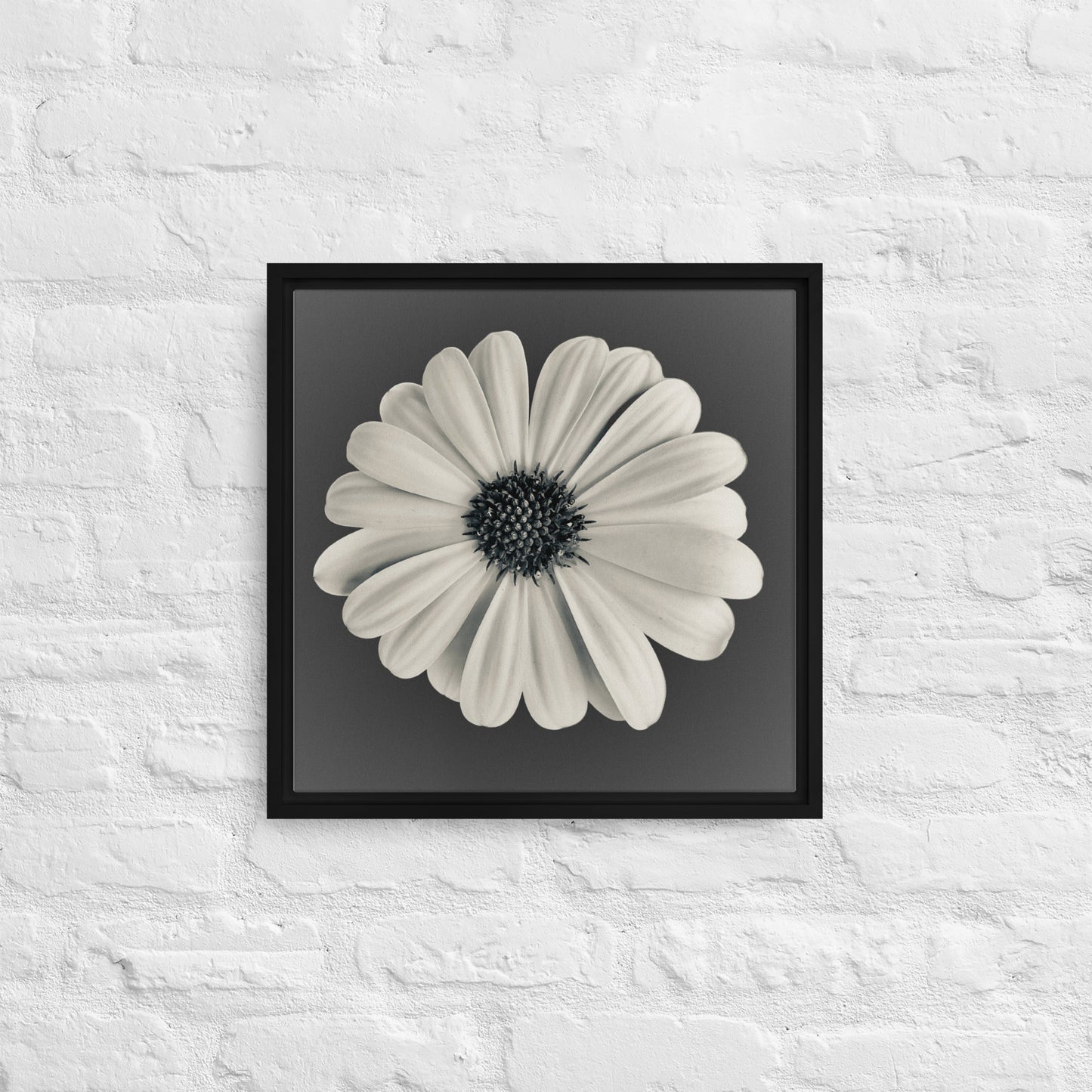 Loves Me Loves Me Not by Enrique Aldana | Framed canvas