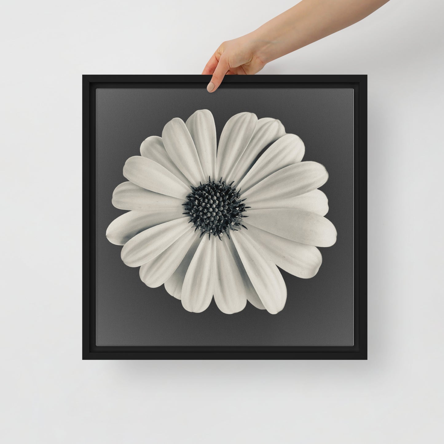 Loves Me Loves Me Not by Enrique Aldana | Framed canvas