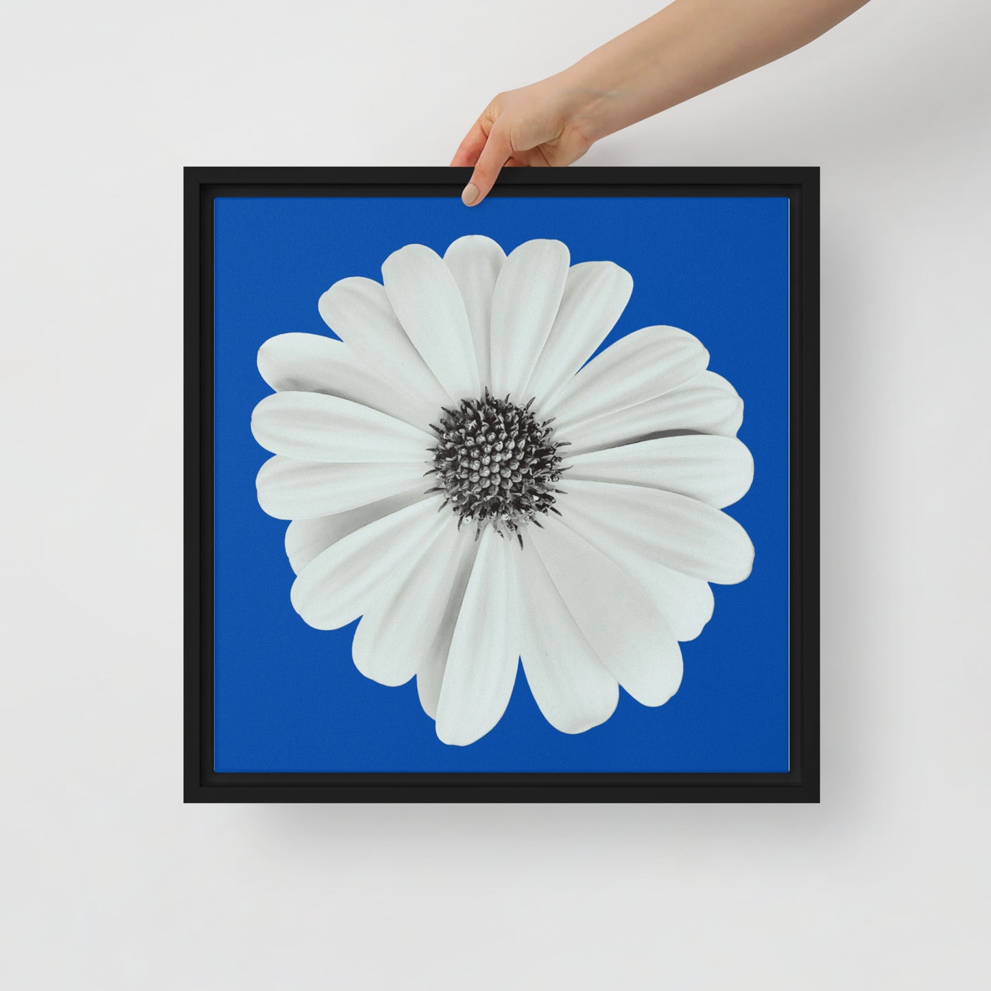 Loves Me Loves Me Not by Enrique Aldana | Framed canvas