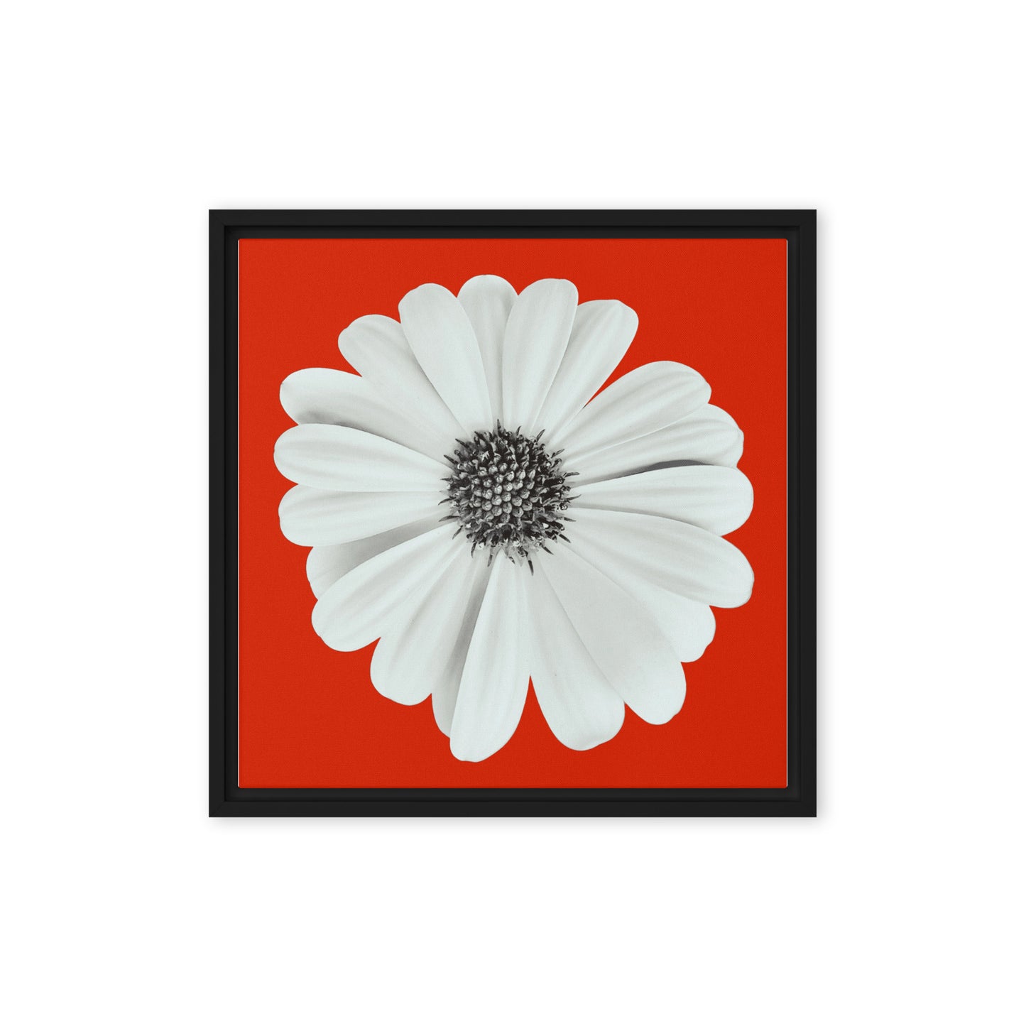 Loves Me Loves Me Not by Enrique Aldana | Framed canvas