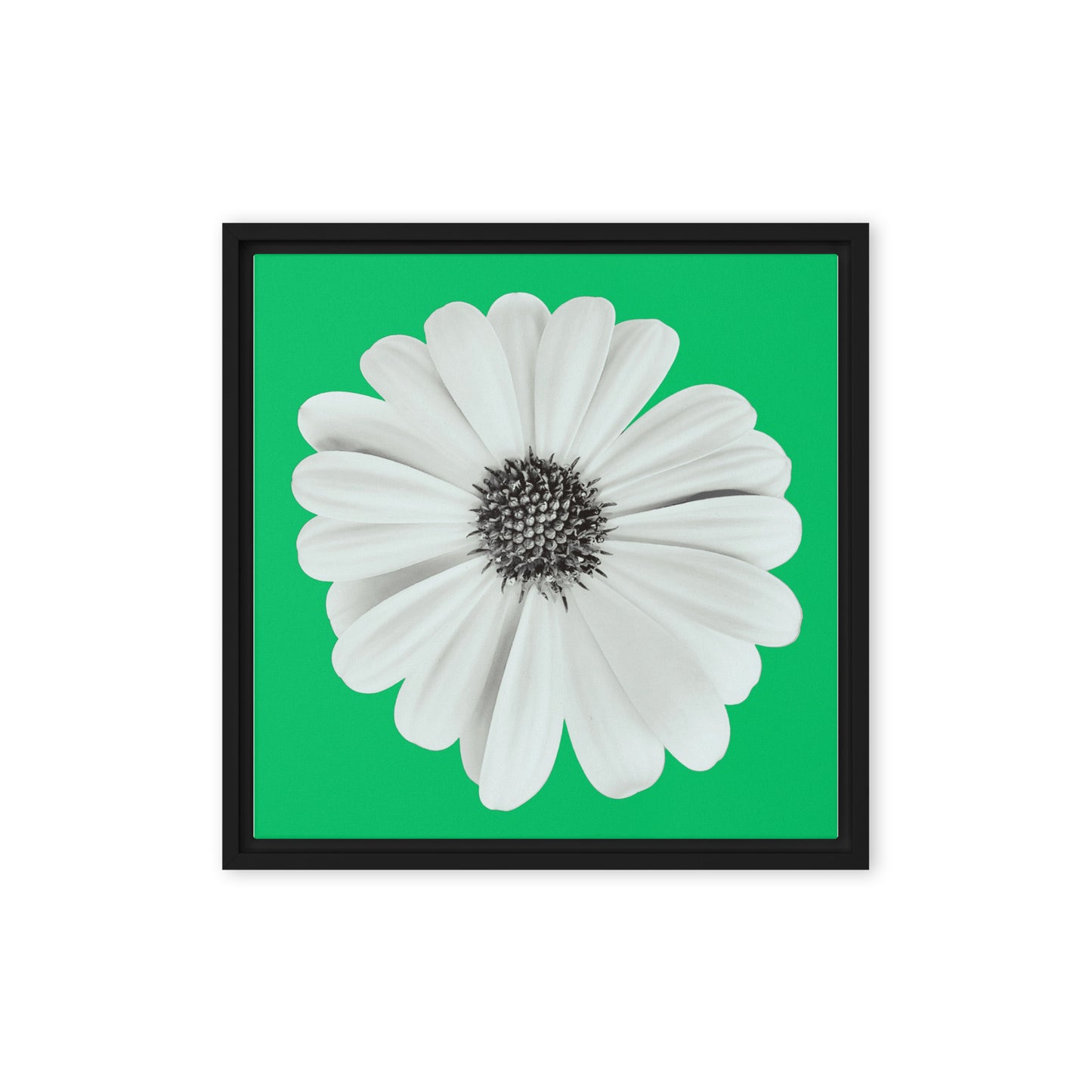 Loves Me Loves Me Not by Enrique Aldana | Framed canvas