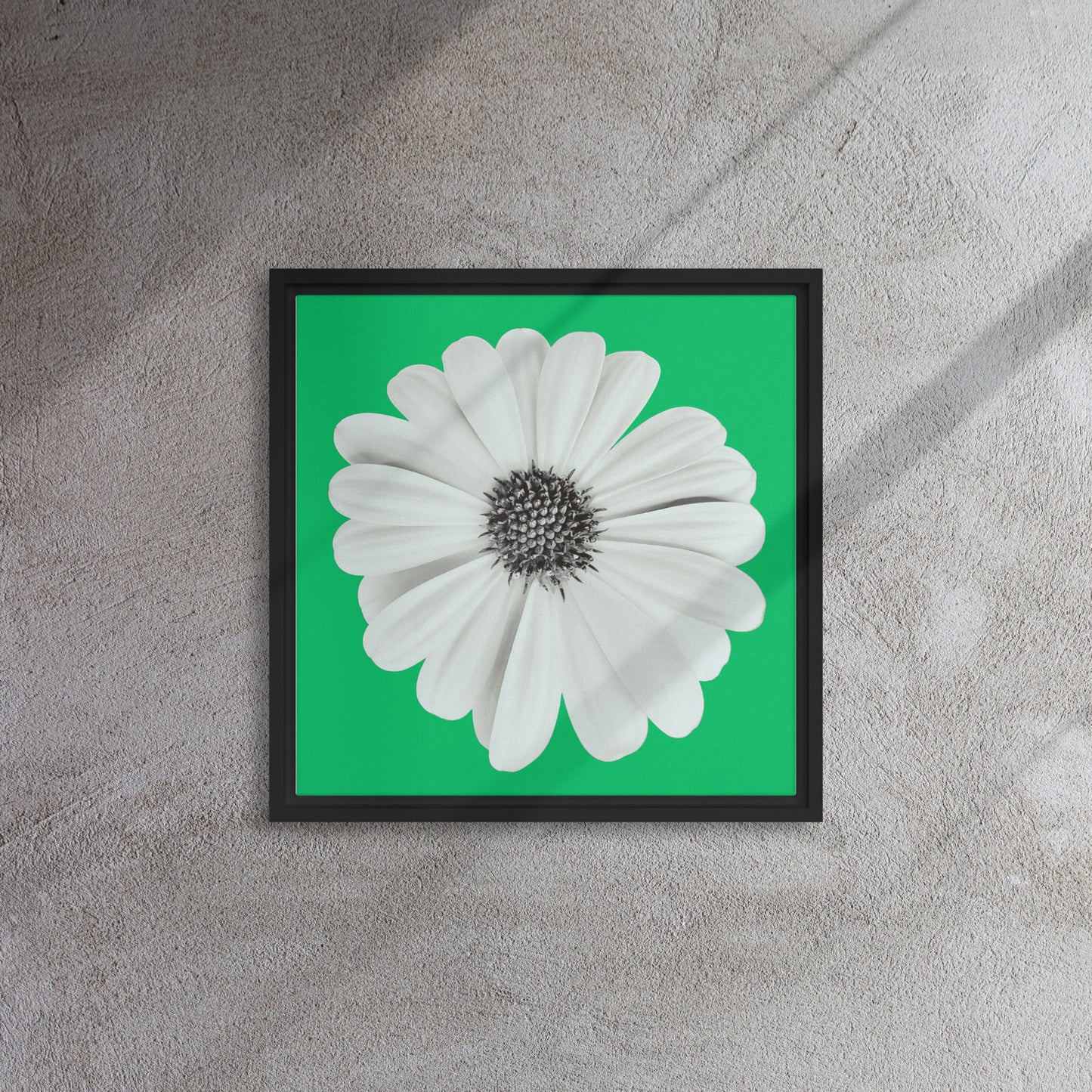 Loves Me Loves Me Not by Enrique Aldana | Framed canvas