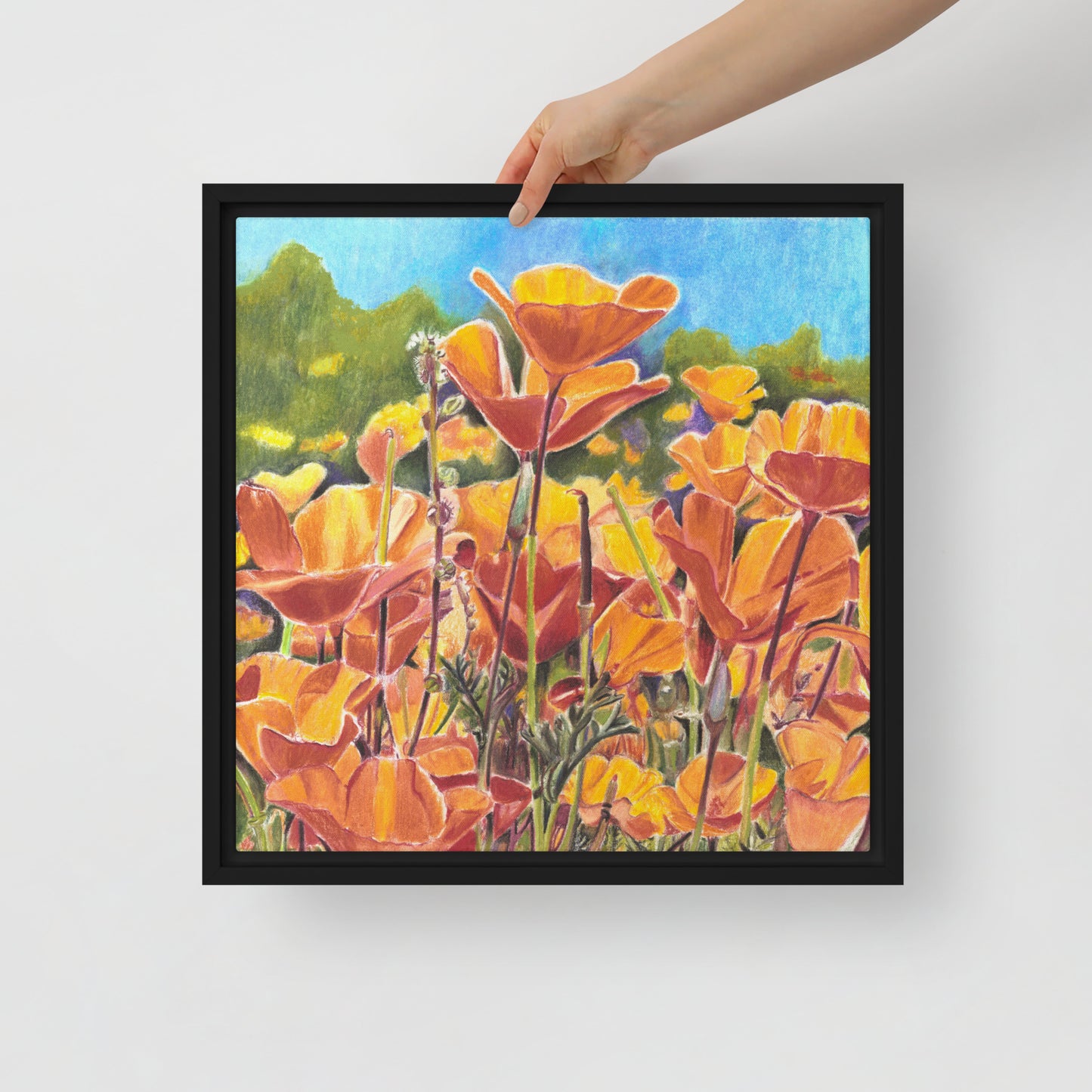 Roadside Poppies by Amber Pierson | Framed canvas