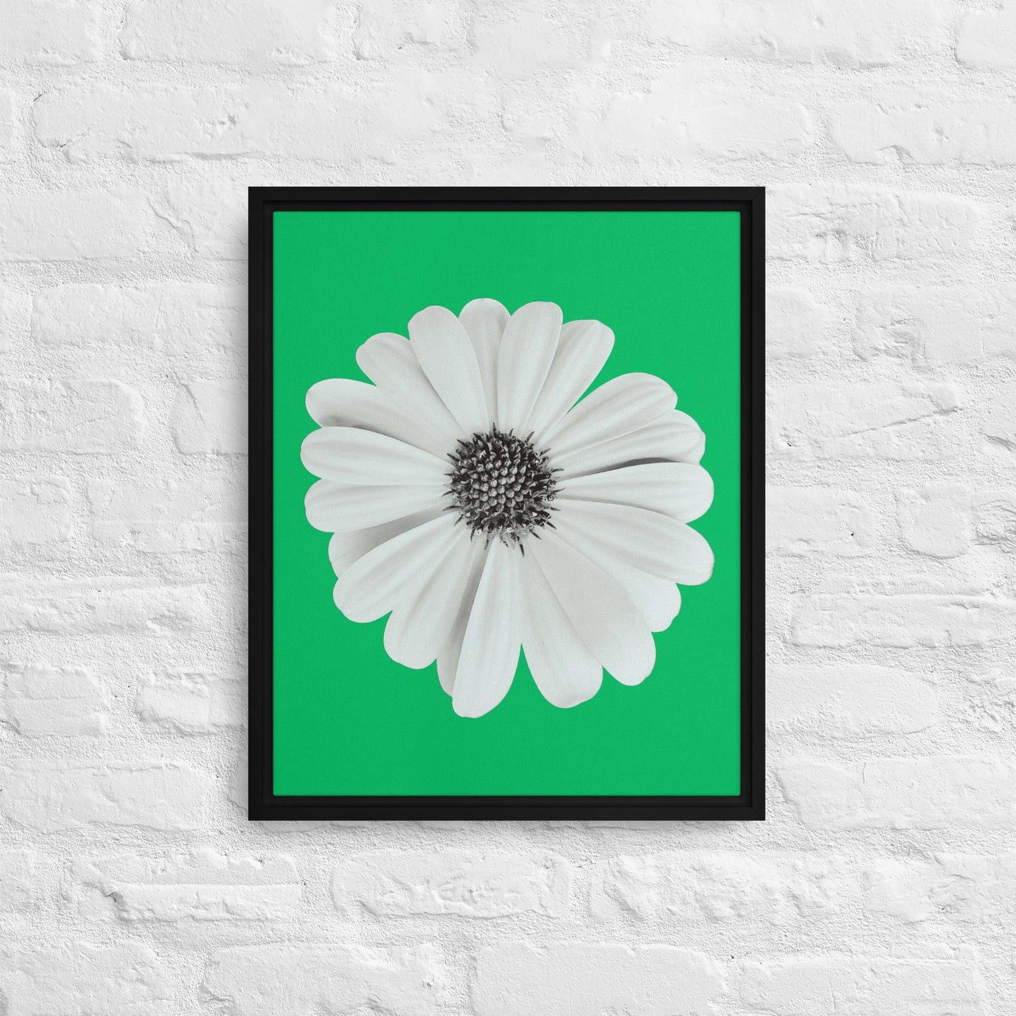 Loves Me Loves Me Not by Enrique Aldana | Framed canvas