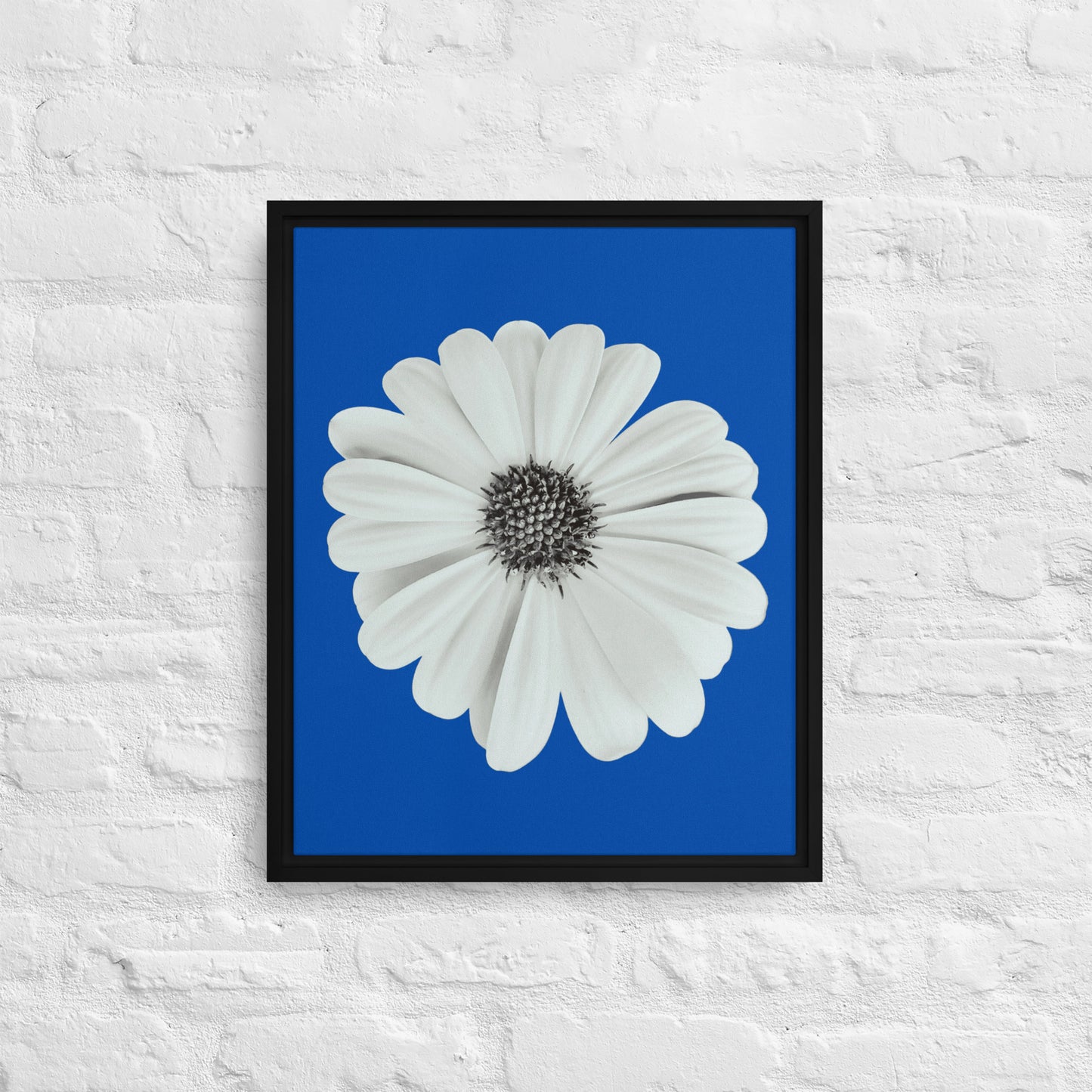 Loves Me Loves Me Not by Enrique Aldana | Framed canvas