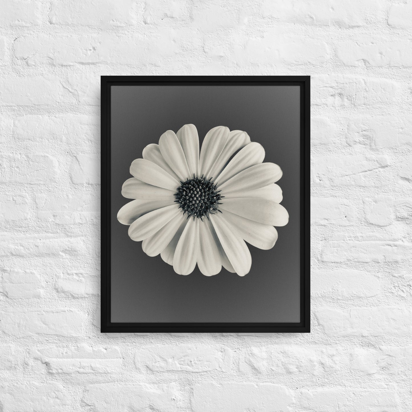 Loves Me Loves Me Not by Enrique Aldana | Framed canvas