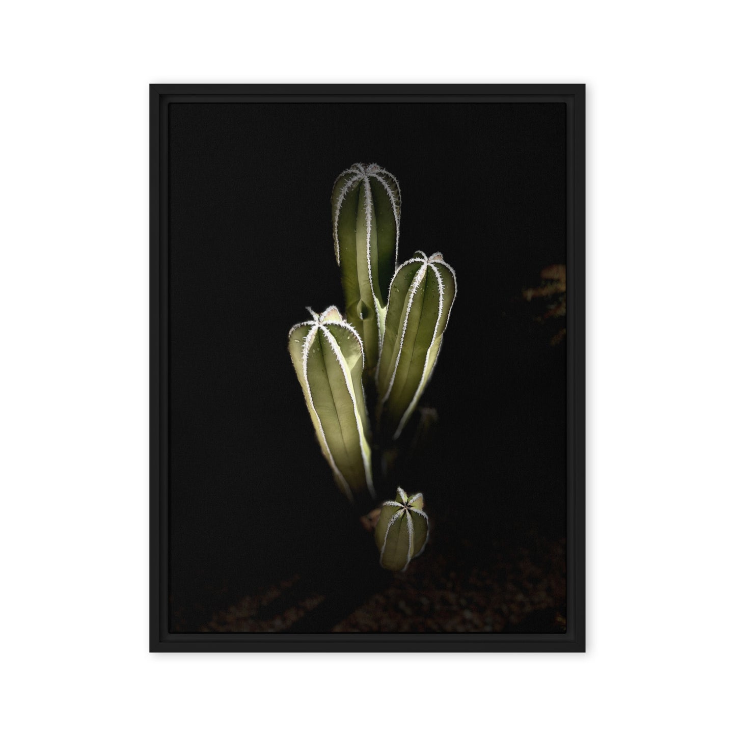 Saguaro Quad by Enrique Aldana Photography | Framed canvas