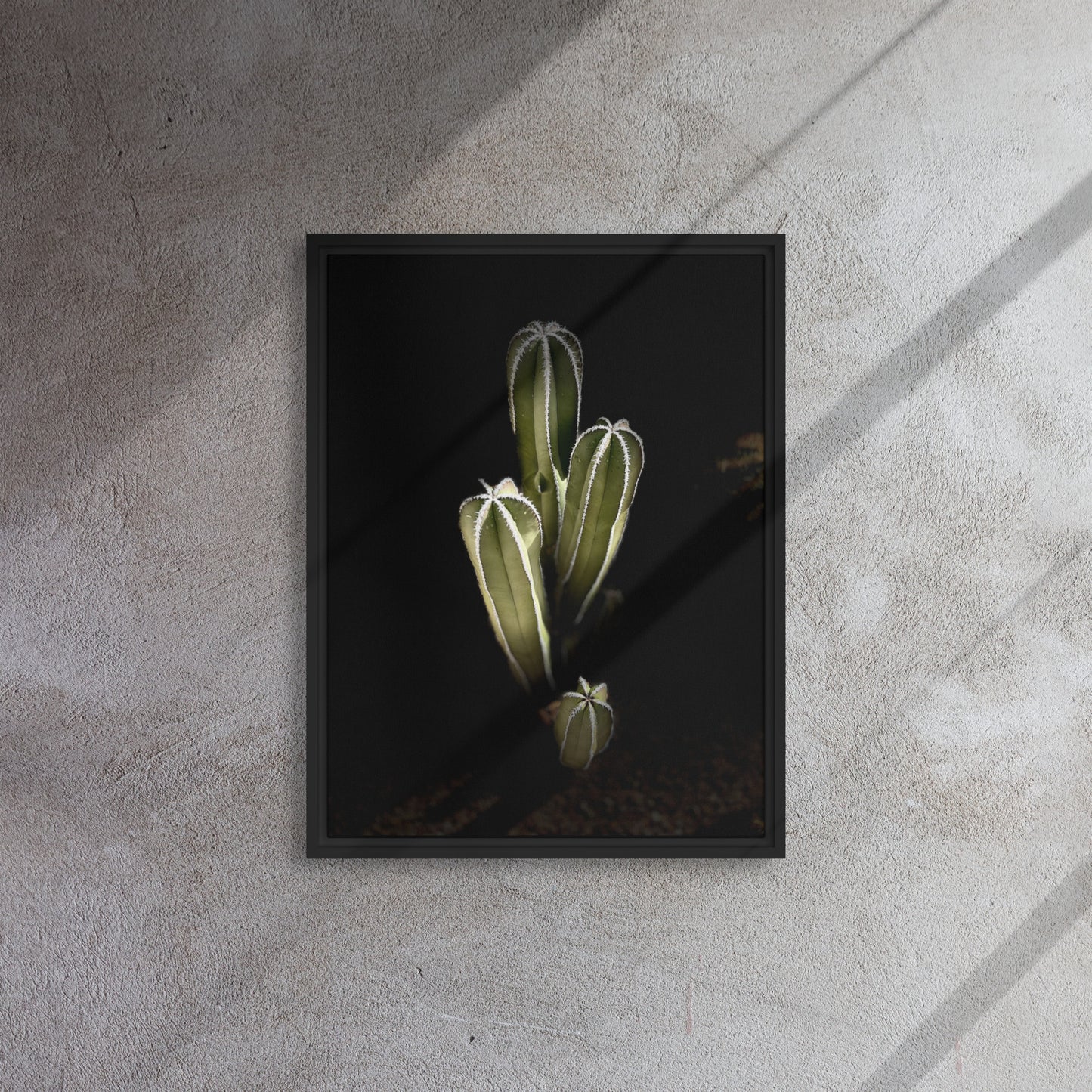 Saguaro Quad by Enrique Aldana Photography | Framed canvas