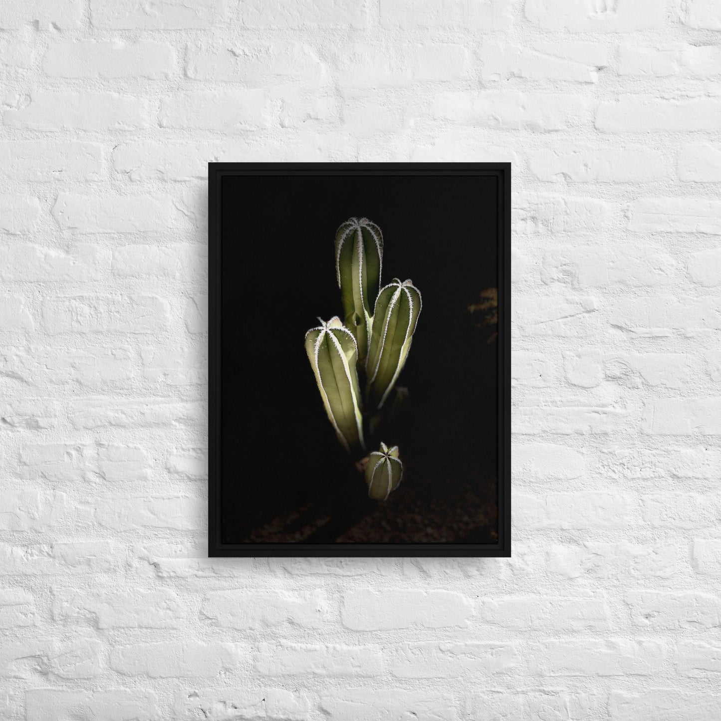 Saguaro Quad by Enrique Aldana Photography | Framed canvas