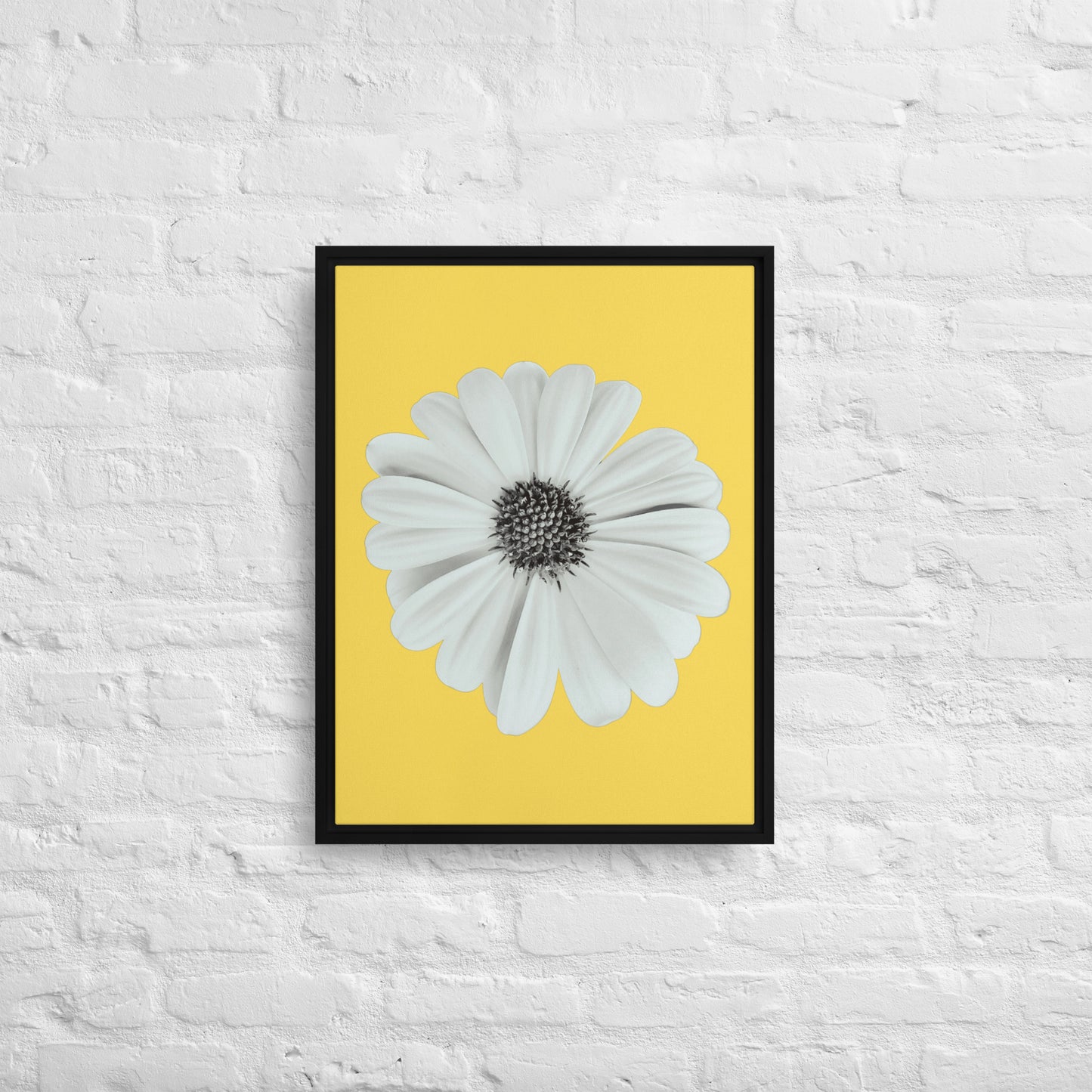 Loves Me Loves Me Not by Enrique Aldana - Yellow | Framed canvas