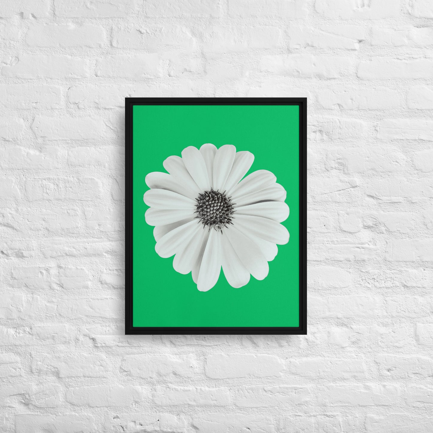 Loves Me Loves Me Not by Enrique Aldana | Framed canvas