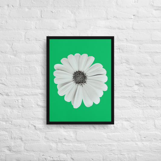 Loves Me Loves Me Not by Enrique Aldana | Framed canvas