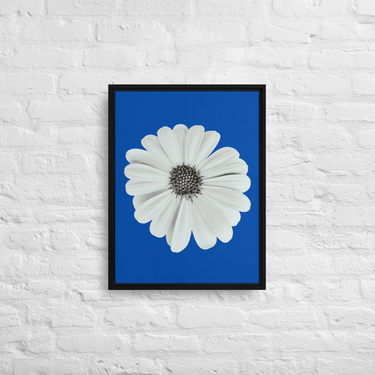 Loves Me Loves Me Not by Enrique Aldana | Framed canvas