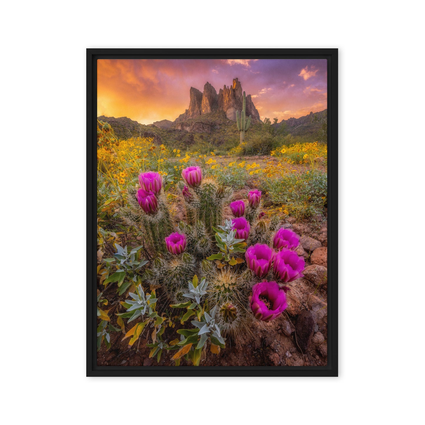 Sonoran Bloom by Sean Parker Photography | Framed canvas