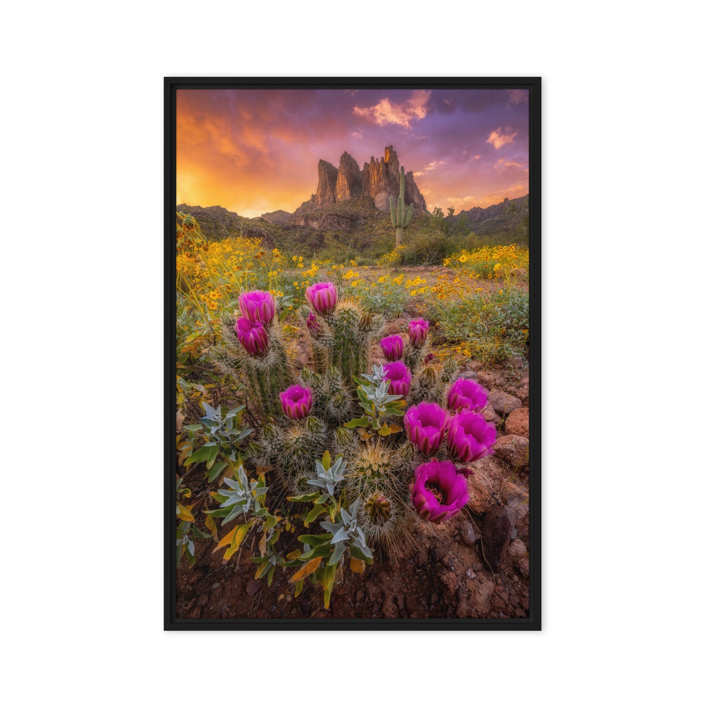 Sonoran Bloom by Sean Parker Photography | Framed canvas