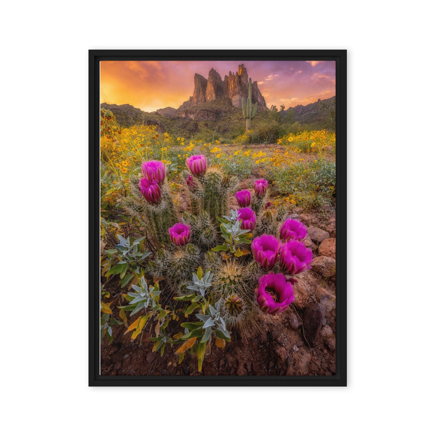 Sonoran Bloom by Sean Parker Photography | Framed canvas