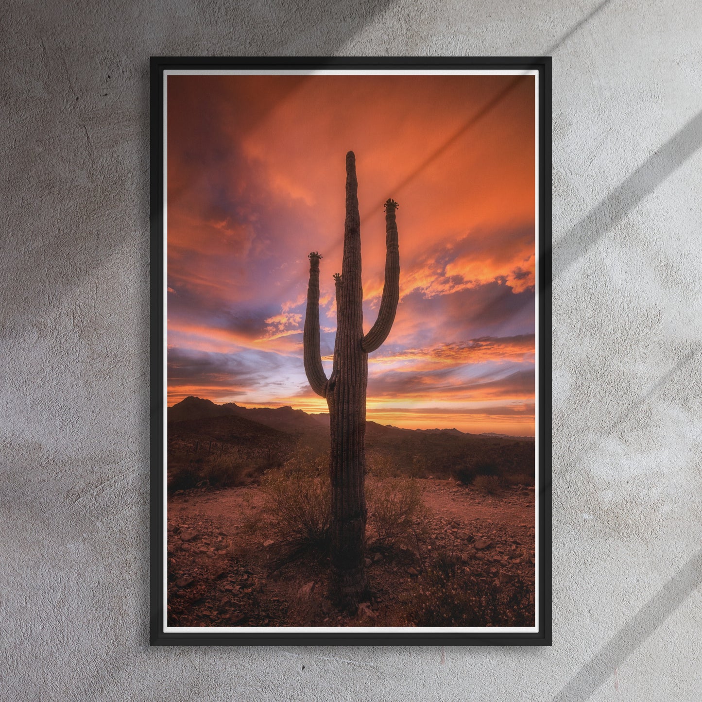 Saguaro Sunset by Sean Parker Photography | Framed canvas