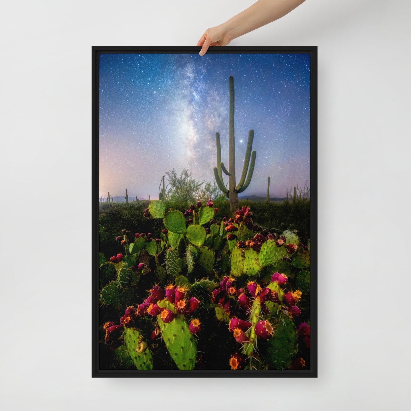 Milky Way Prickly Pear by Sean Parker Photography | Framed canvas