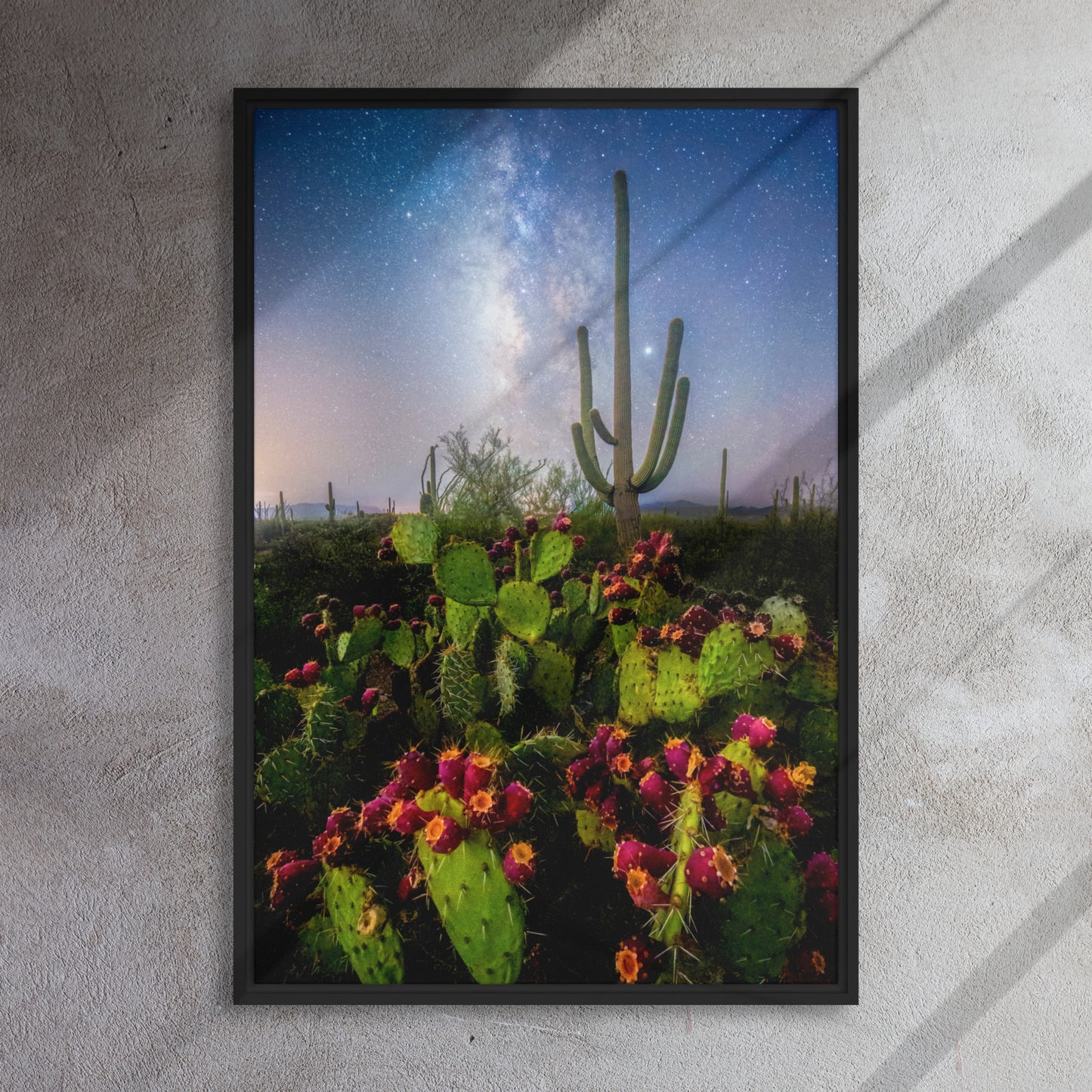 Milky Way Prickly Pear by Sean Parker Photography | Framed canvas