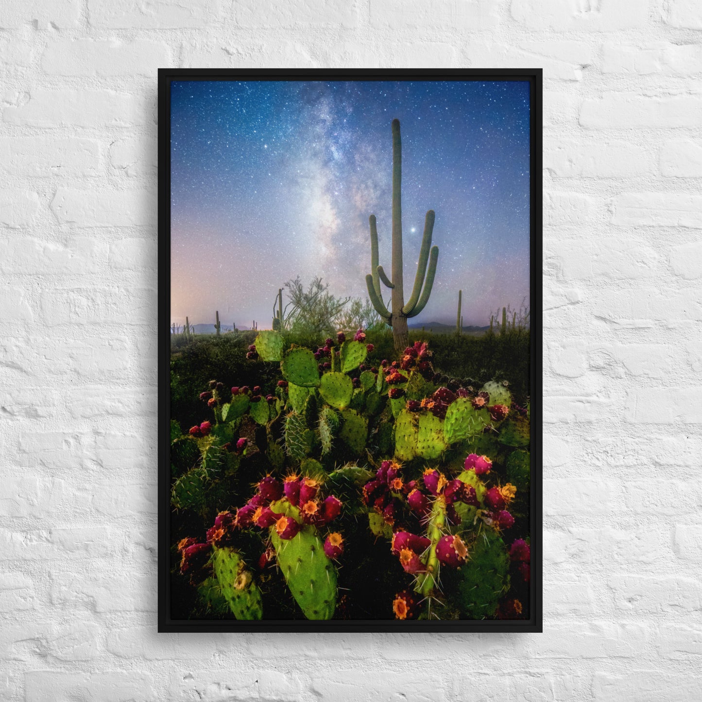 Milky Way Prickly Pear by Sean Parker Photography | Framed canvas