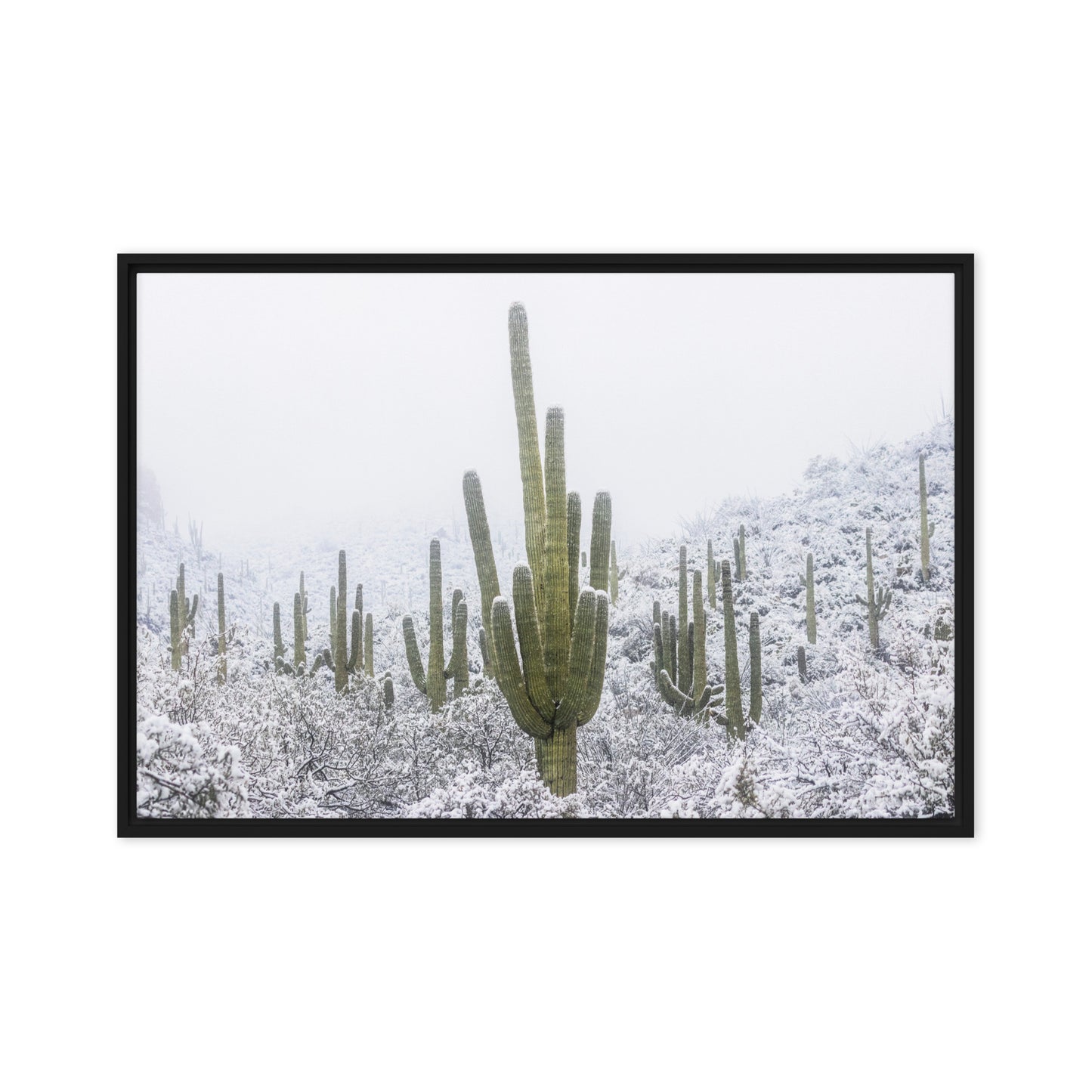 Saguaro Snowfall by Sean Parker Photography | Framed canvas