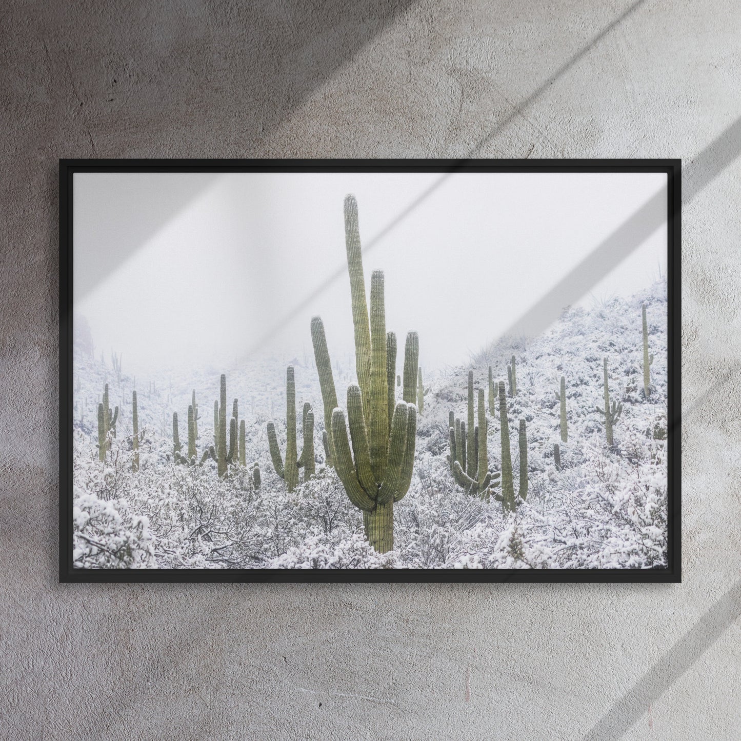 Saguaro Snowfall by Sean Parker Photography | Framed canvas