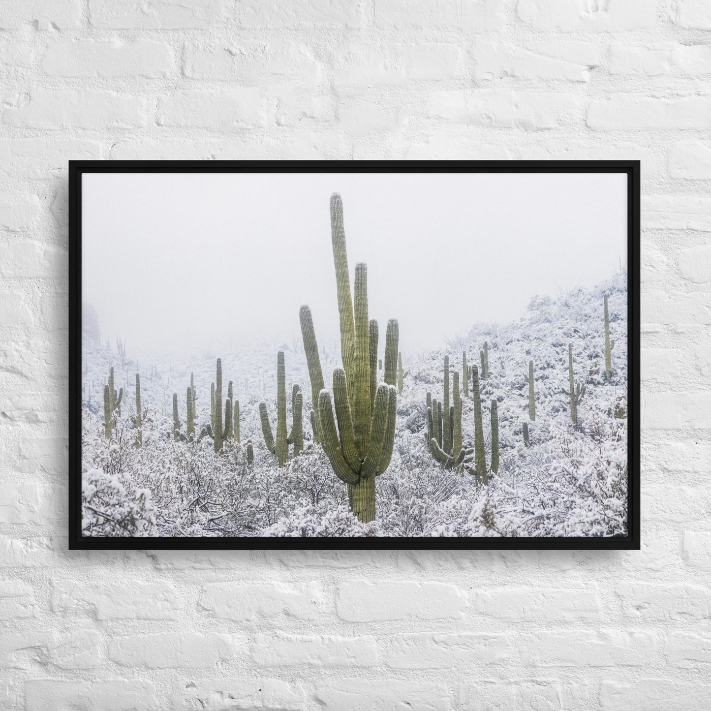 Saguaro Snowfall by Sean Parker Photography | Framed canvas