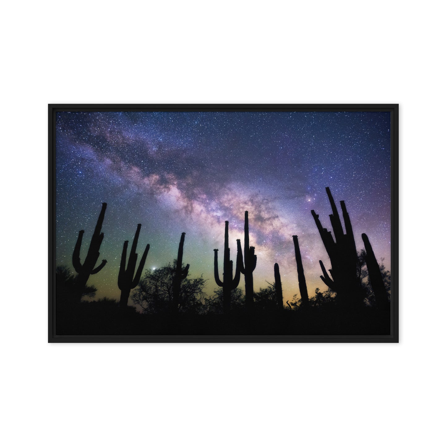 Saguaro Starlight by Sean Parker Photography | Framed canvas