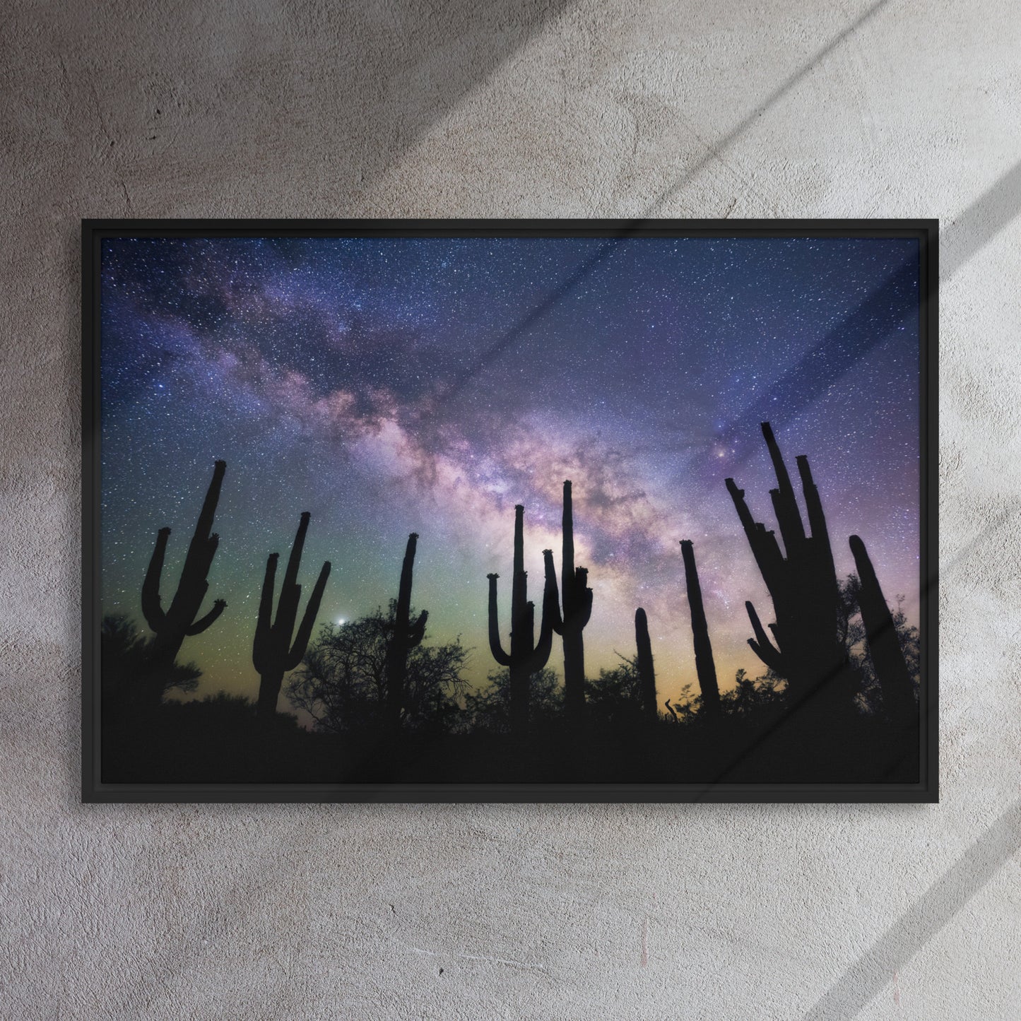 Saguaro Starlight by Sean Parker Photography | Framed canvas